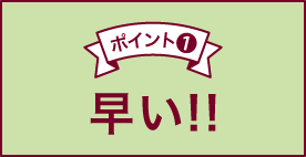 ポイント① 早い