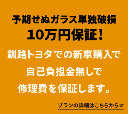 予期せぬガラス単独破損10万円保証!